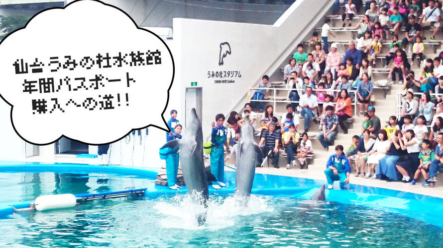 仙台うみの杜水族館!混雑具合と年間パスポートへの道。