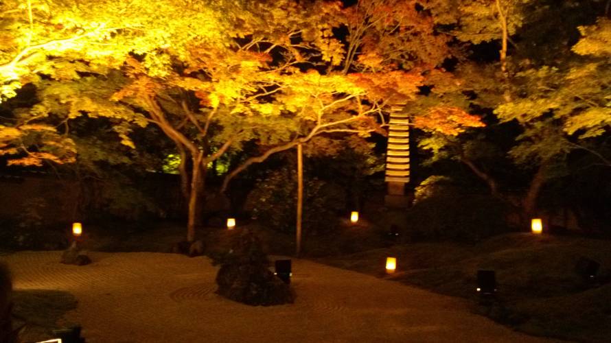 よく知らないんだけど、宮城の紅葉っていつ頃が見頃だったろうか