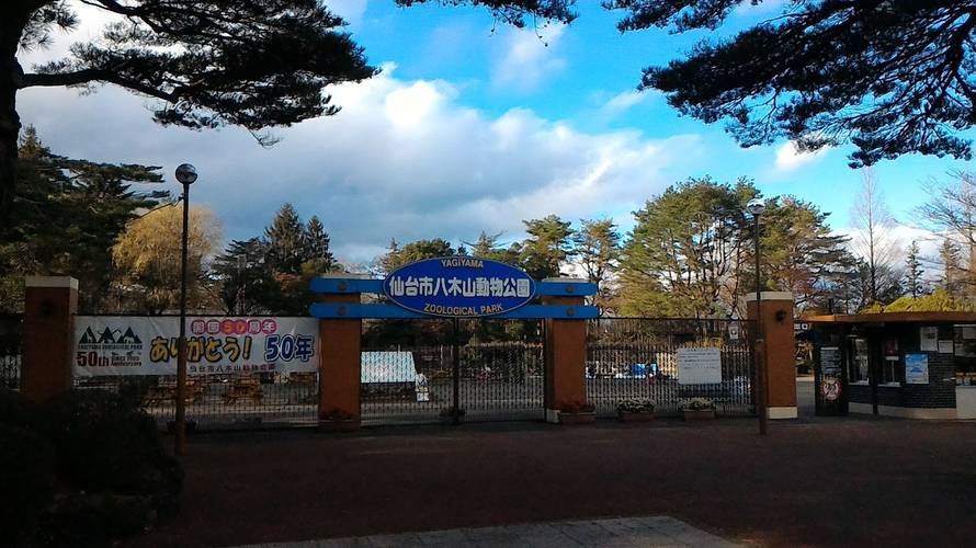 地下鉄東西線の駅から八木山動物公園までの道のり