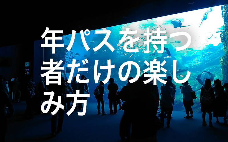 年間パスを持つ者に許された水族館の楽しみ方