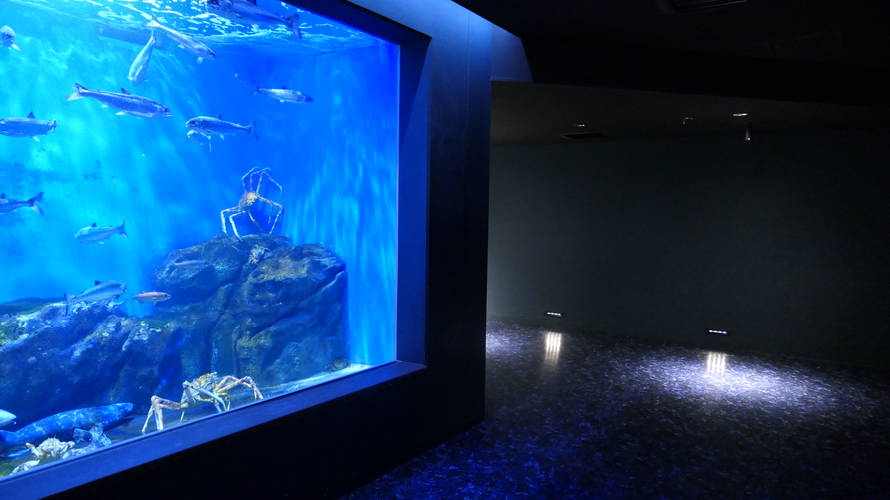 仙台うみの杜水族館で2度目の年間パスポート更新