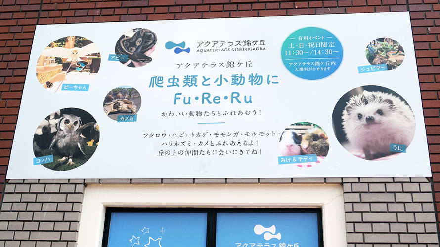 アクアテラス錦ケ丘は行く価値があるの?2019年版