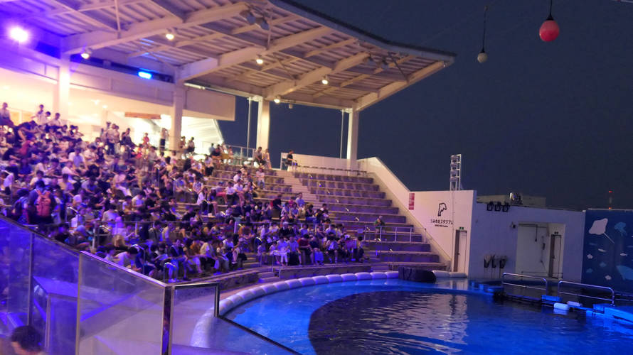夜の仙台うみの杜水族館へ!混雑してる?年パスは使える?